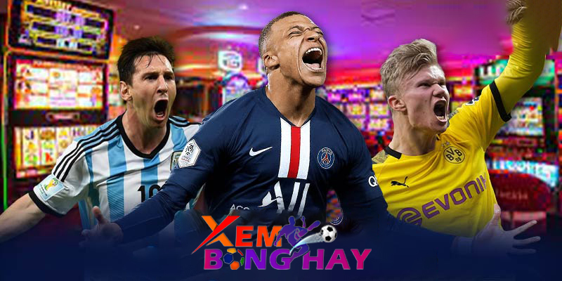 xembonghay | Cách xem Euro 2024 trên trang web xembonghay