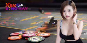 009bet - Nơi hội tụ của những người yêu thích cược độc đáo