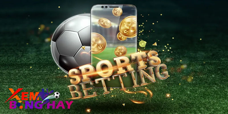 OK9 Bet - Sân chơi độc đáo với hệ thống cá cược đa dạng