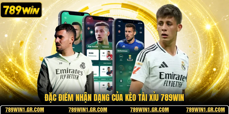 Kèo Tài Xỉu 789WIN - Tham Gia Dự Đoán Tổng Số Bàn Thắng Đặc điểm nhận dạng của kèo tài xỉu 789WIN